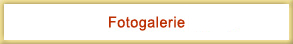 fotogalerie 